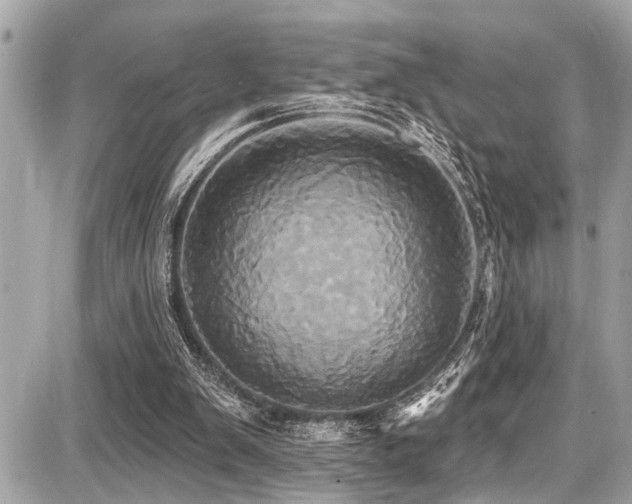 X0000087700103200705041113