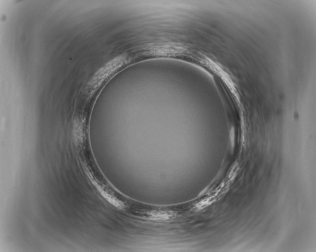 X0000087700105200705041113