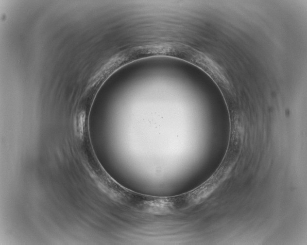 X0000087700118200705041113