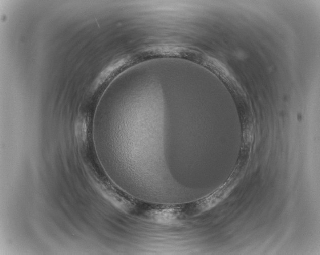 X0000087700120200705041113
