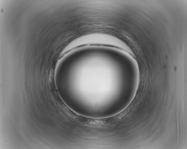 X0000087700125200705041113