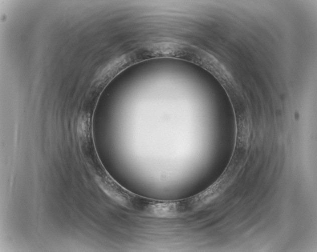 X0000087700126200705041113