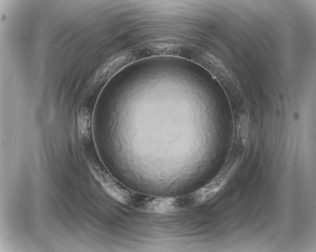 X0000087700138200705041112