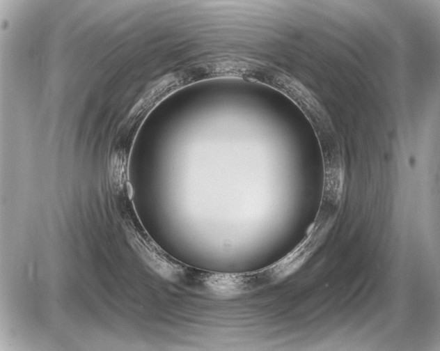 X0000087700142200705041112