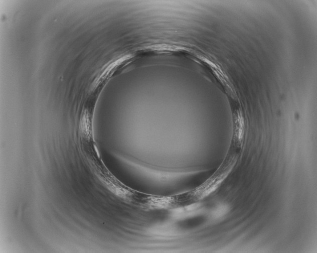 X0000087700143200705041112
