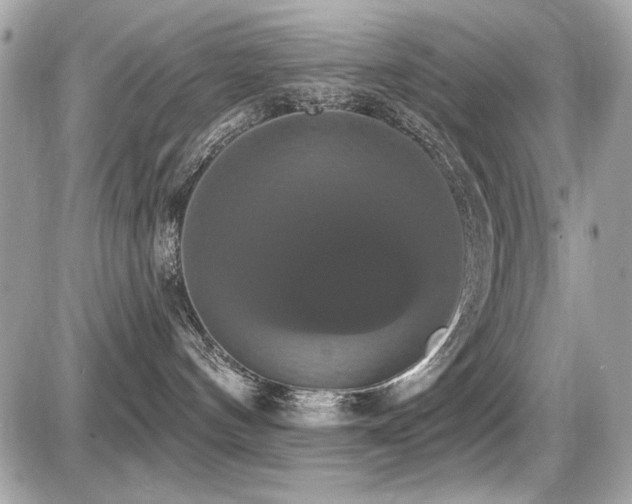 X0000087700144200705041112