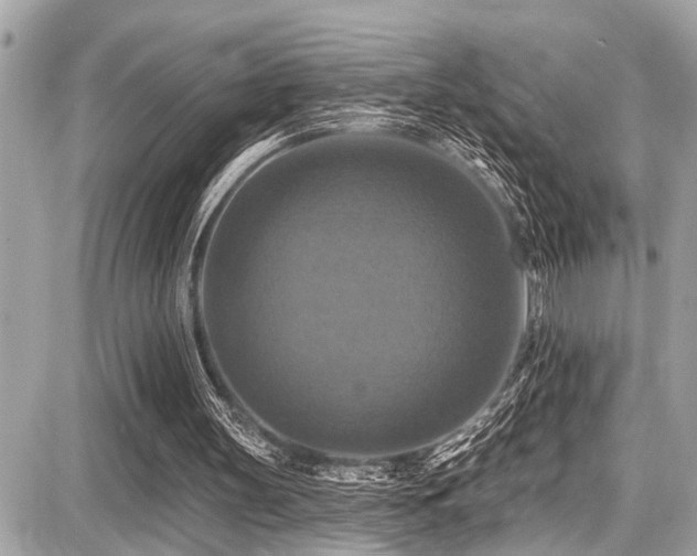 X0000087700147200705041111