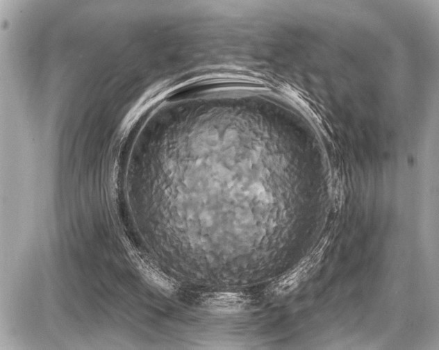X0000087700151200705041112