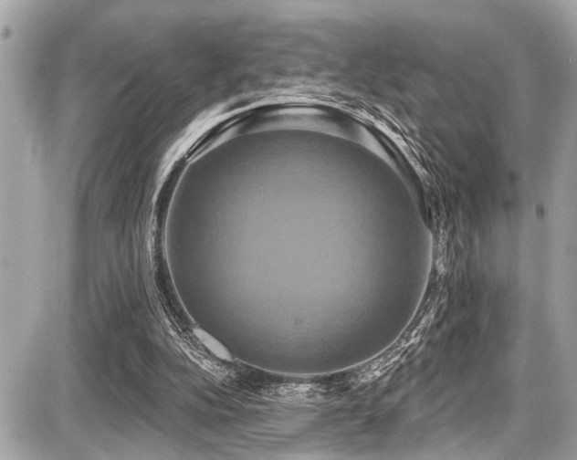 X0000087700152200705041112