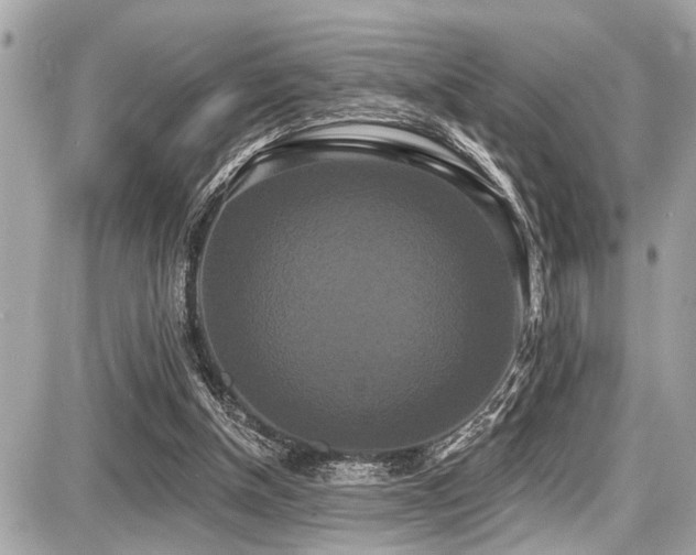 X0000087700154200705041112