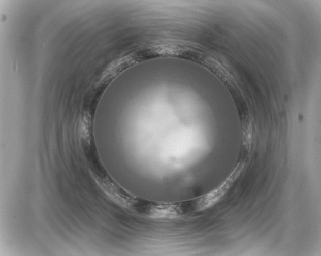 X0000087700175200705041112