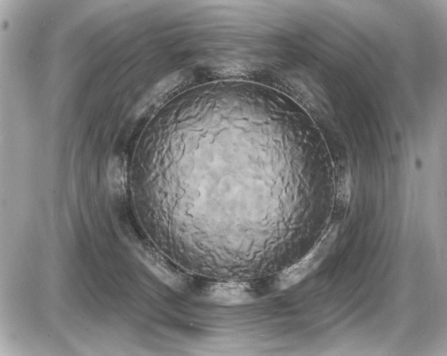 X0000087700179200705041112