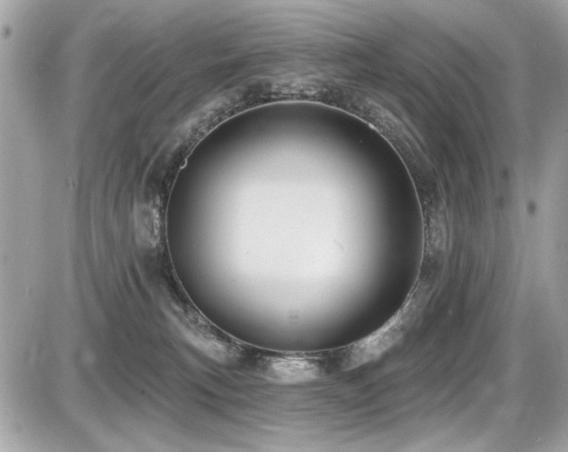 X0000087700183200705041112