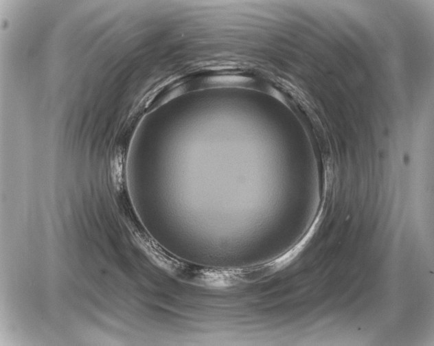 X0000087700190200705041112