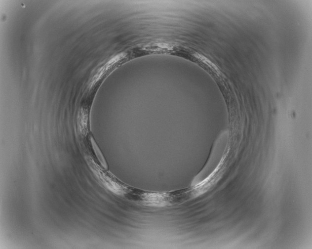 X0000087700192200705041112