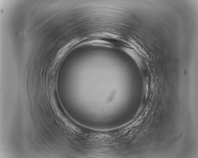 X0000087700193200705041111