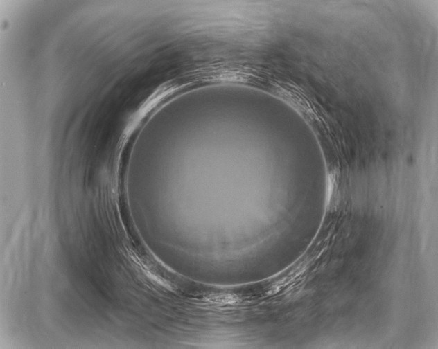 X0000087700195200705041111