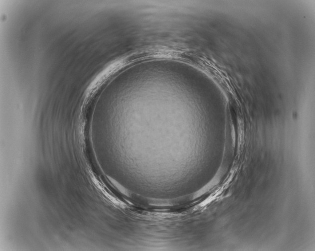 X0000087700197200705041111