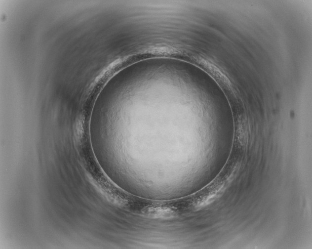 X0000087700208200705041111