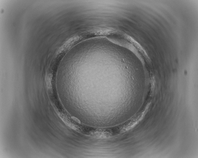 X0000087700209200705041111