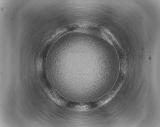 X0000087700213200705041111