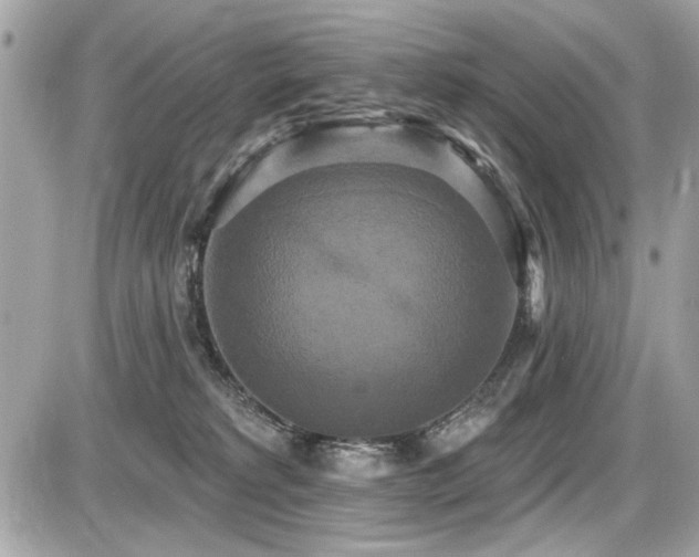 X0000087700229200705041111