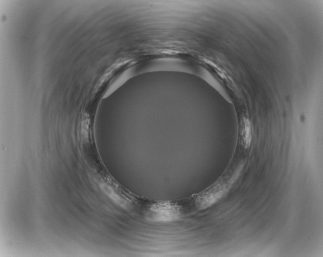 X0000087700231200705041111
