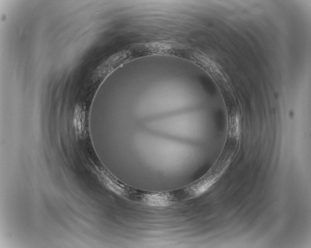 X0000087700238200705041111