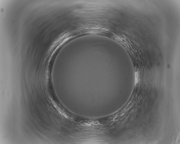 X0000087700243200705041110