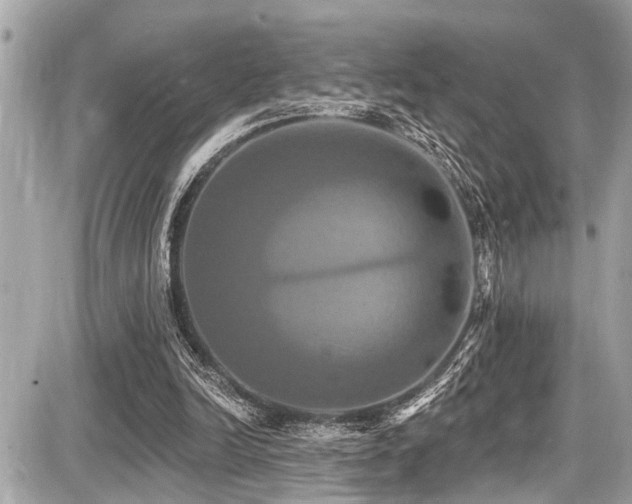 X0000087700246200705041110