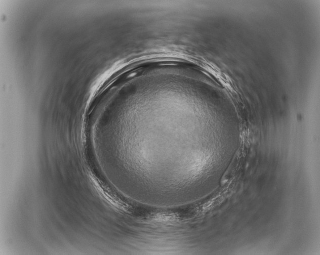 X0000087700248200705041110