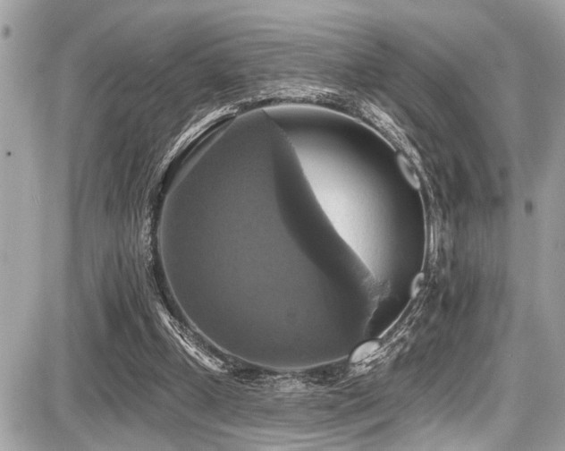X0000087700249200705041110