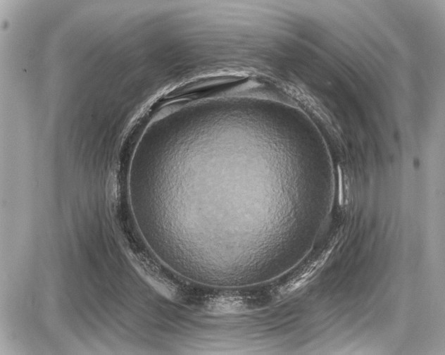 X0000087700252200705041110