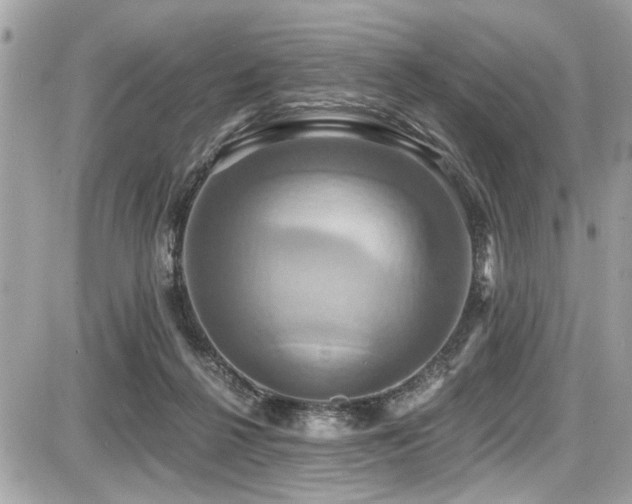 X0000087700264200705041110