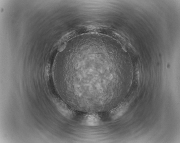 X0000087700275200705041110