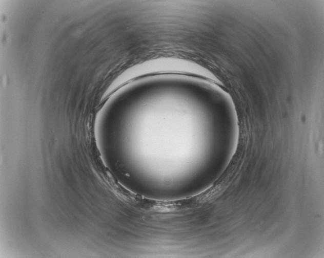 X0000087700280200705041111