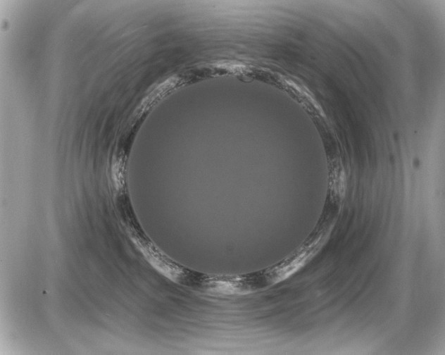 X0000087700285200705041111
