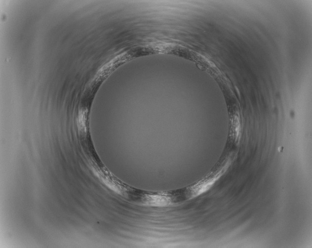 X0000087700286200705041111
