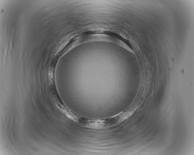 X0000087700288200705041111