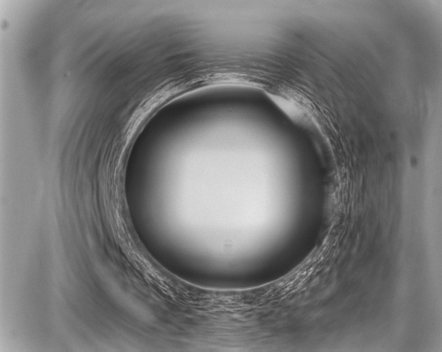 X0000087700289200705041110