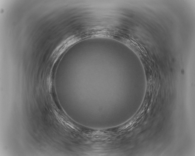X0000087700290200705041110