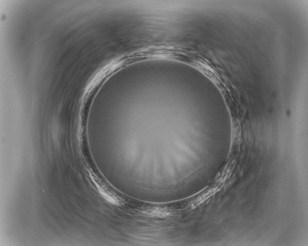 X0000087700293200705041110