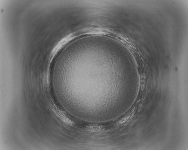 X0000087700296200705041110