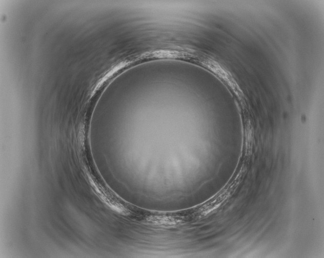 X0000087700297200705041110