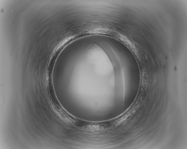 X0000087700298200705041110