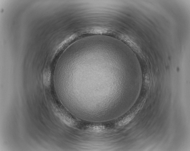 X0000087700304200705041110