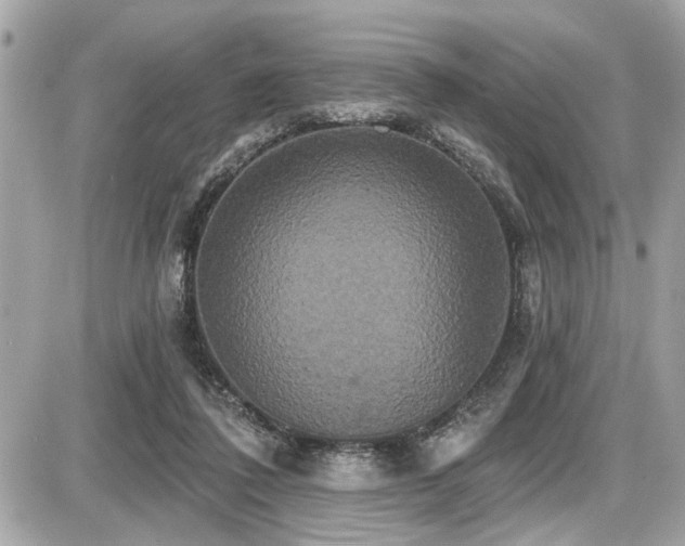 X0000087700308200705041110