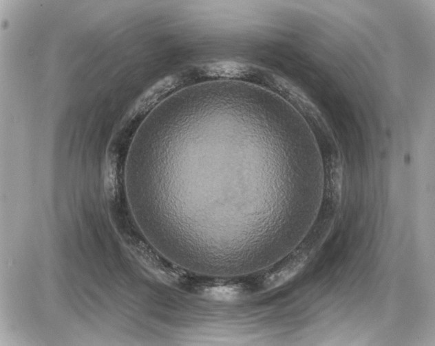 X0000087700312200705041109