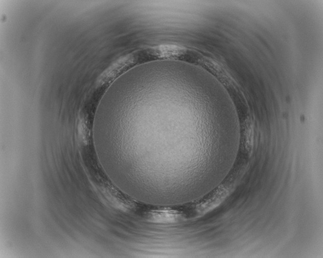 X0000087700316200705041109