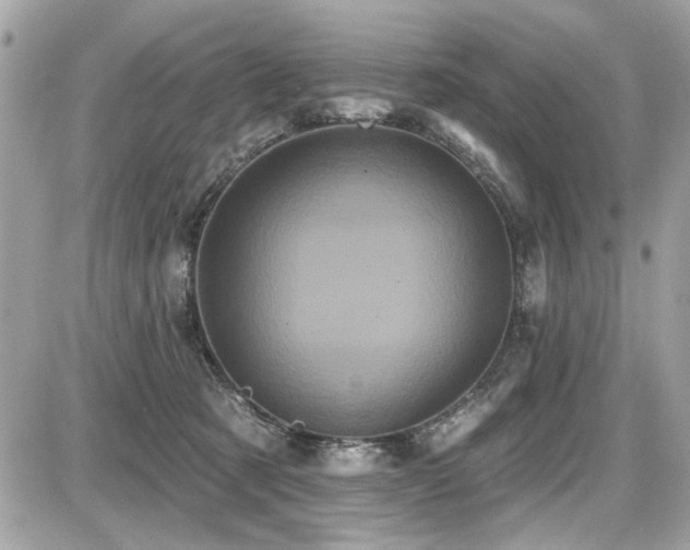 X0000087700321200705041109
